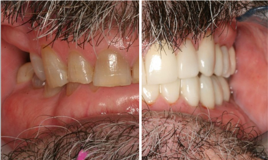 Dr Wendy Willoughby in Asheville North Carolina