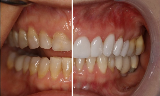 Dr Wendy Willoughby in Asheville North Carolina